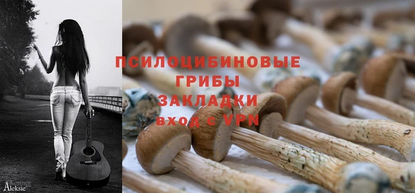 spice Баксан