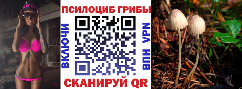 KRAKEN маркетплейс  Любим  Галлюциногенные грибы ЛСД 