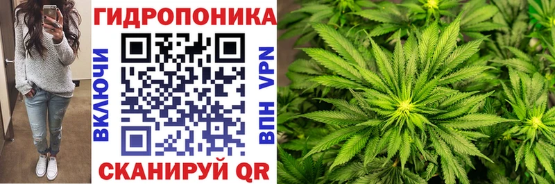 Бошки марихуана Ganja  ОМГ ОМГ зеркало  Любим 